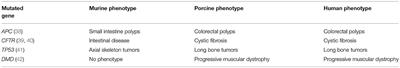 Porcine Models of Pancreatic Cancer